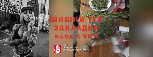 индика Володарск