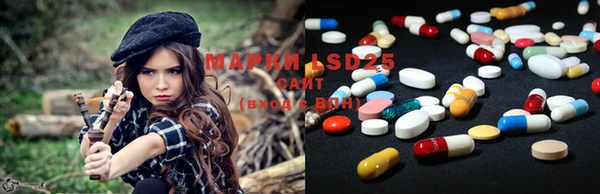 PSILOCYBIN Волосово