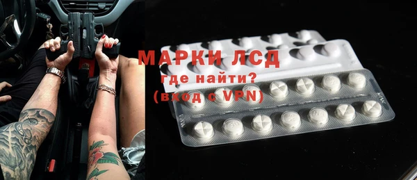индика Володарск