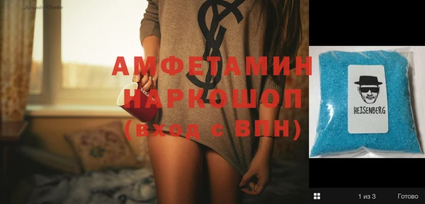 индика Володарск