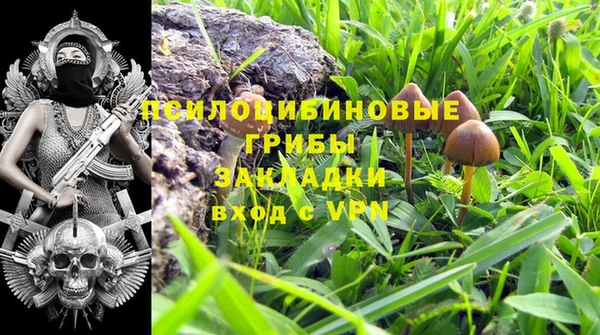 apvp Волоколамск