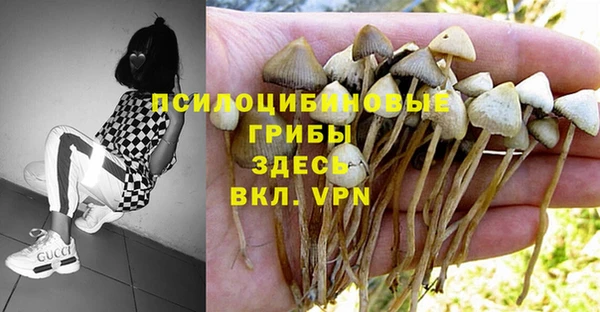 индика Володарск