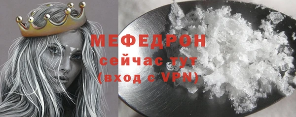 индика Володарск